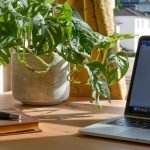 Wooden desk in front of the window with a laptop on the right and a notebook and pen on the left. Behind both is a potted plant.